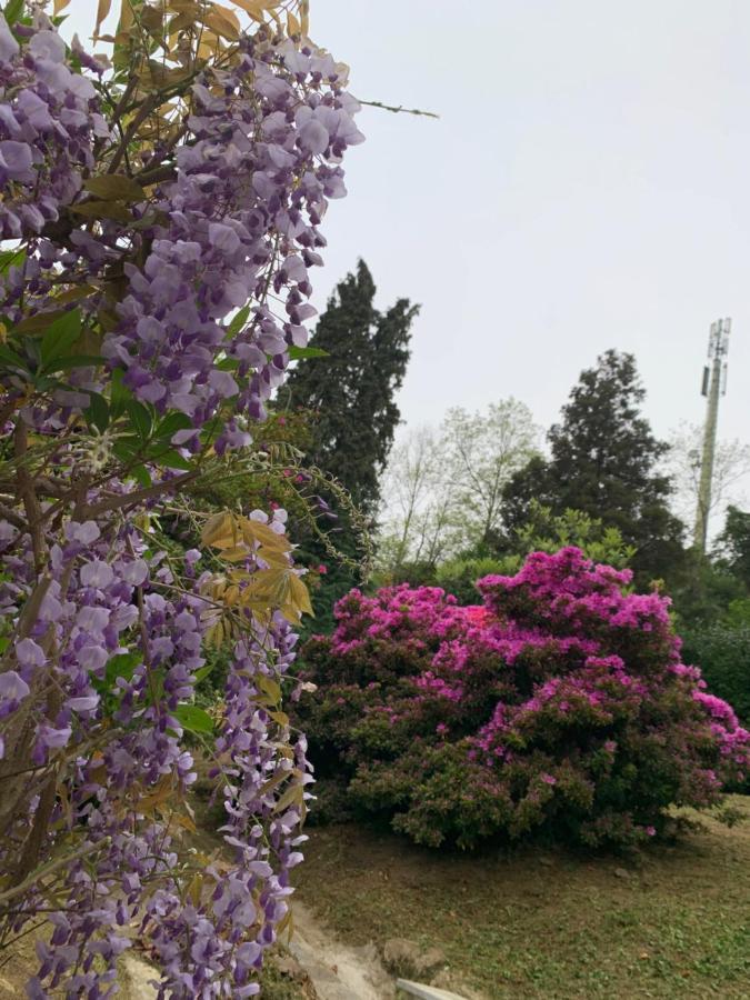 Foresterie Magnolia 贝尔吉拉泰 外观 照片